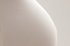 420H0455Pregwhite