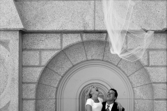 flyawayveil