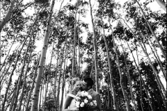 krissy-trees